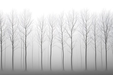 Fototapeta premium Abstract winter forest white tree silhouettes against a gradient gray background