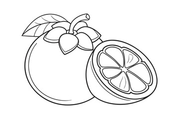 Mangosteen Fruit Line Art Vector Illustration