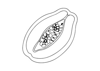 Papaya Fruit with Slice Vector Illustration