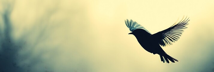 Obraz premium Minimalist bird flight over a plain white sky with a soft shadow effect
