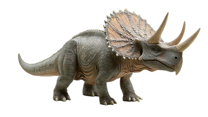 Fototapeta premium Detailed representation of a triceratops dinosaur model showcasing intricate textures and features