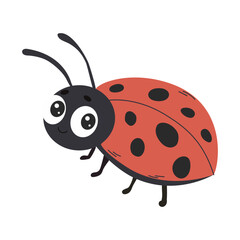 Ladybug cartoon insect vector cute character isolated on white background.

