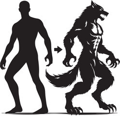 Fototapeta premium Werewolf transformation vector