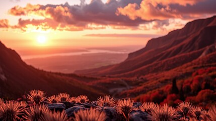 Spectacular mountain range bathed in serene, golden sunlight.