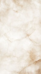 Fototapeta premium champagne watercolor fade soft curves