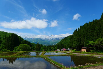 Fototapeta premium 初夏の青鬼地区。白馬、長野、日本。5月下旬。