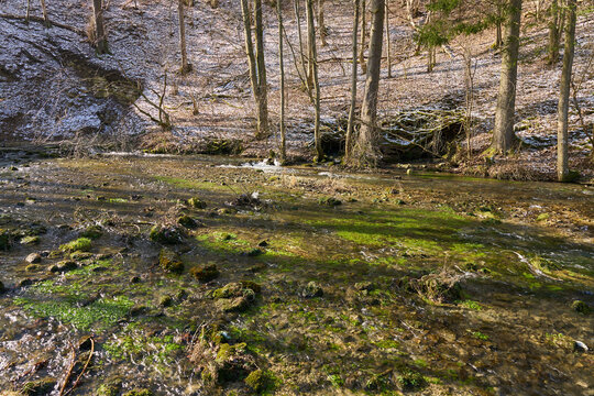 Ursprung des schwarzen Kochers, Kocherursprung, Oberkochen, Baden-W&uuml;rttemberg, Deutschland