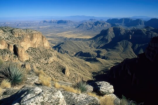 Chihuahuan Desert. Agave Cactus and Chisos Mountains in Big Bend National Park, Texas