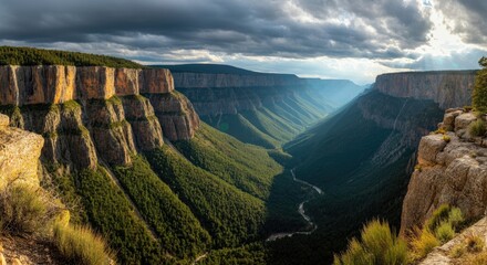 Vast canyon with green forested valley and dramatic cliffs under cloudy skies