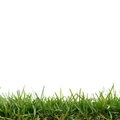 Fototapeta premium Lush bentgrass borders against a pristine transparent background showcasing vibrant green tones, Bentgrass stack border transparent background. Grass big