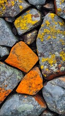 Fototapeta premium Vibrant Lichen on Colorful Rocks, Abstract Stone Texture
