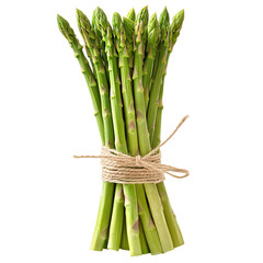 A bunch of fresh green asparagus stalks tied together, isolated on a transparent background.