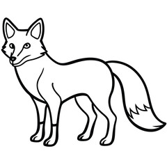 fox vector illustration