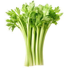 A fresh bunch of green, giant celery against a transparent background,