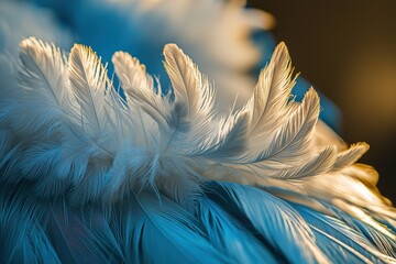 Naklejka premium A captivating close-up of elegant bird feathers with a striking blue and gold color palette and intricate details, showcasing a refined beauty.