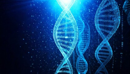 A digital DNA
