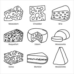 Variety of Cheese Types for Culinary Delights. Hand drawn doodle cheese line illustration