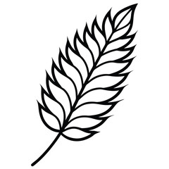 Obraz premium sumac leaf isolated on white background 