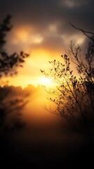 Fototapeta premium cinematic golden glow with soft fog background