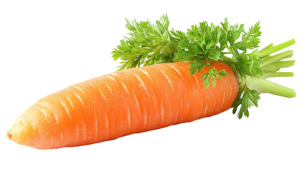 Freshly harvested carrot with vibrant green tops, ideal for healthy meals and snacks