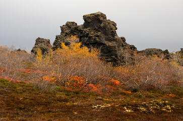 autumn in Dimmuborgir, Iceland
