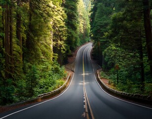 A thin, winding road cutting through a dense forest, ending at a narrow entrance.