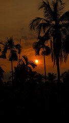 Obraz premium evening sunset vertical photo