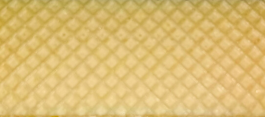 Close-up of cheese wafer surface texture  

