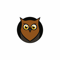 owl on a white background