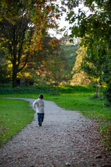 Fototapeta premium A young child walks joyfully along a picturesque pathway that is surrounded by beautiful autumn leaves