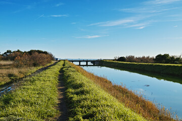 Panorama within the protected coastal natural area of Sterpaia Piombino Livorno Tuscany Italy