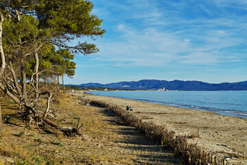 Panorama from the beach of the protected coastal natural area of Sterpaia Piombino Livorno Tuscany...