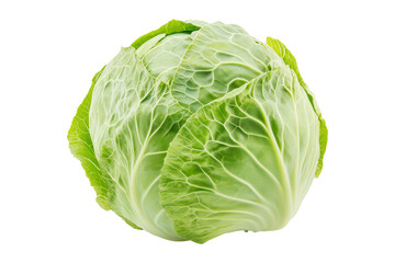 Whole green savoy cabbage with textured crinkled leaves isolated on transparent background. Concept of fresh organic vegetables and healthy eating