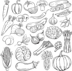 Hand-drawn vegetable set black and white line art illustration +25 pcs