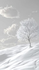 Obraz premium Minimalist snowy landscape a single tree and soft shadowing in grayscale