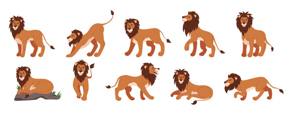 Obraz premium Lion animal king, cartoon flat style isolated illustration, character in different pose. Family mammal with fur mane. African cat male. Africa pride, safari mascot. Vector feline graphic tidy set