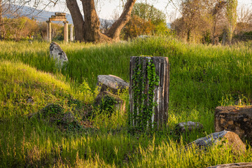 Aphrodisias Ancient City Ruins, Aydin, Turkey