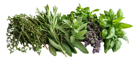 Fresh medicinal herbs including rosemary, basil, and sage arranged beautifully. These herbs are known for their culinary and health benefits, adding flavor and nutrition to dishes