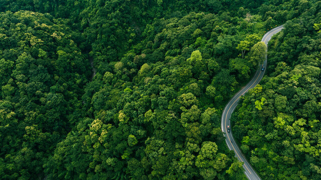 Fototapeta Top view road in beautiful autumn forest at sunset, trees with red and orange leaves , Beautiful landscape view from flying drone in Nature