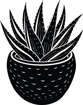 recommend clip art:  Potted Aloe Vera Silhouette