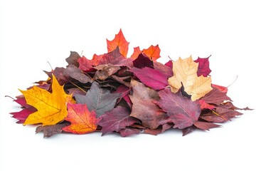 Autumn Leaf Pile - A vibrant pile of autumn leaves in various shades of red, orange, and brown, isolated on a white background