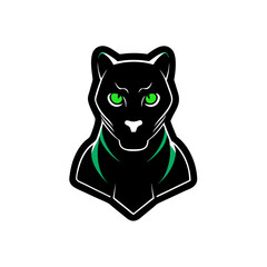 black cat with green eyes