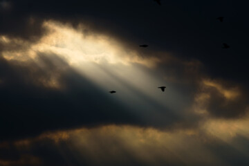 dark dramatic sky at sunset with sun rays through the clouds