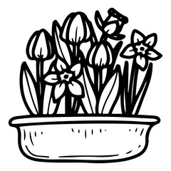 Spring flowers in a pot. Hand drawn doodle. Tulips and daffodils plants. Easter home decoration. Flowering buds. Vector line art illustration.