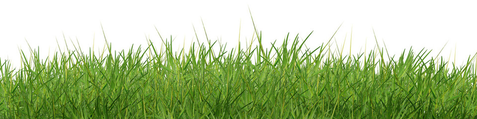 An isolated patch of grass stands out in the empty field.