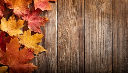 autumn background with maple leaves on antique barn wood