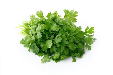 Fresh parsley on a clean white surface, ready for use in cooking or decoration