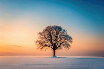 Winter's minimalist beauty: icy branches, frosted landscape, silent morning.