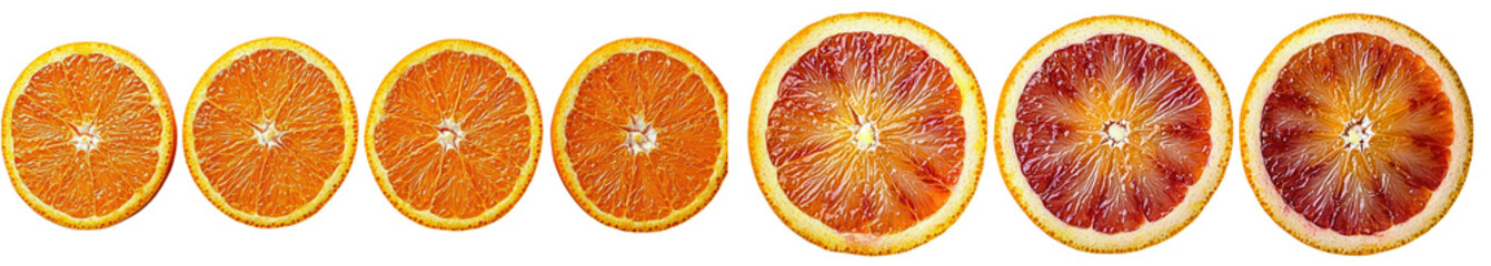 Collection vibrant display of sliced blood oranges showcasing their rich colors and textures, perfect for culinary inspiration, Isolated on transparent background