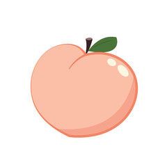 Peach cartoon vector. Doodle peach with leaves icon. Peach fruit in shape of heart isolated on white background. Farm, natural food, fresh fruits.